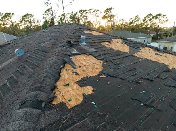 Best Emergency Roof Repair Services  in Maryvle, IL