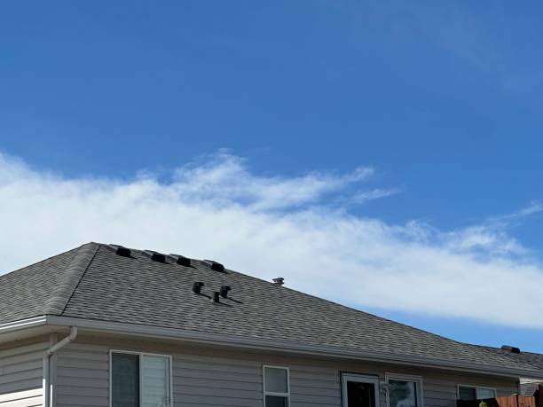 Best Green or Eco-Friendly Roofing Solutions  in Maryvle, IL